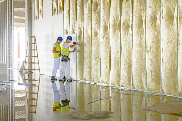Best Insulation Installation Services in Saratoga, WY